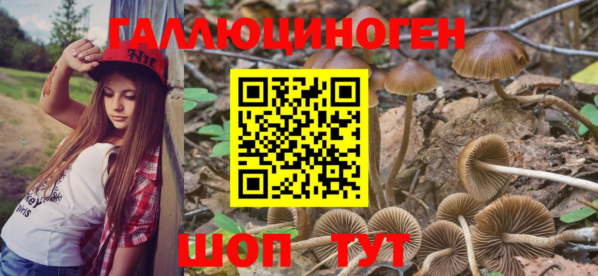 купить наркоту  Вход с VPN  Электросталь  Галлюциногенные грибы ЛСД 