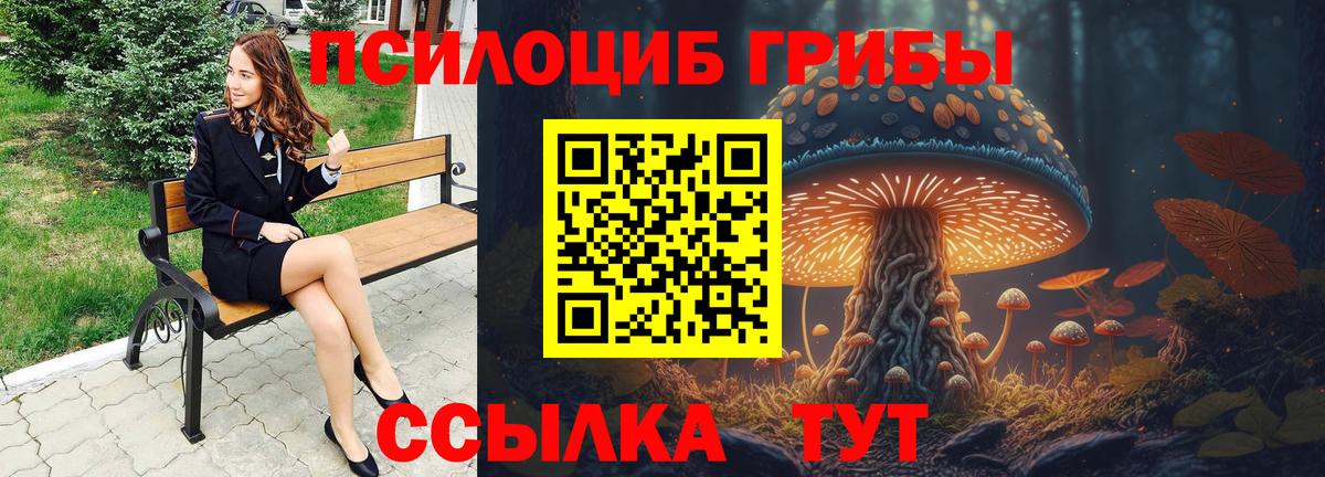 Псилоцибиновые грибы GOLDEN TEACHER Электросталь